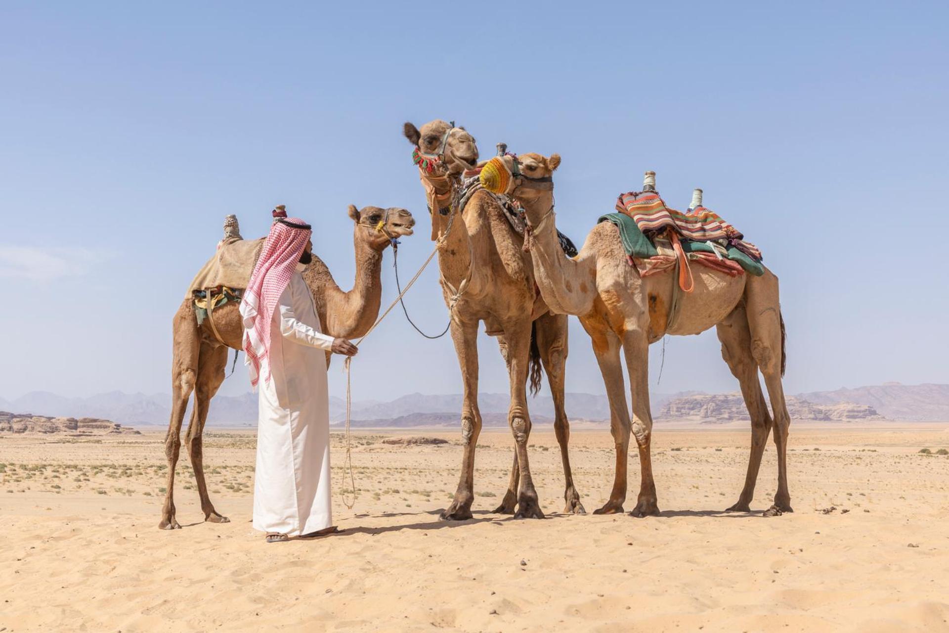Wadi Rum Camp& Jeep Tour Esterno foto