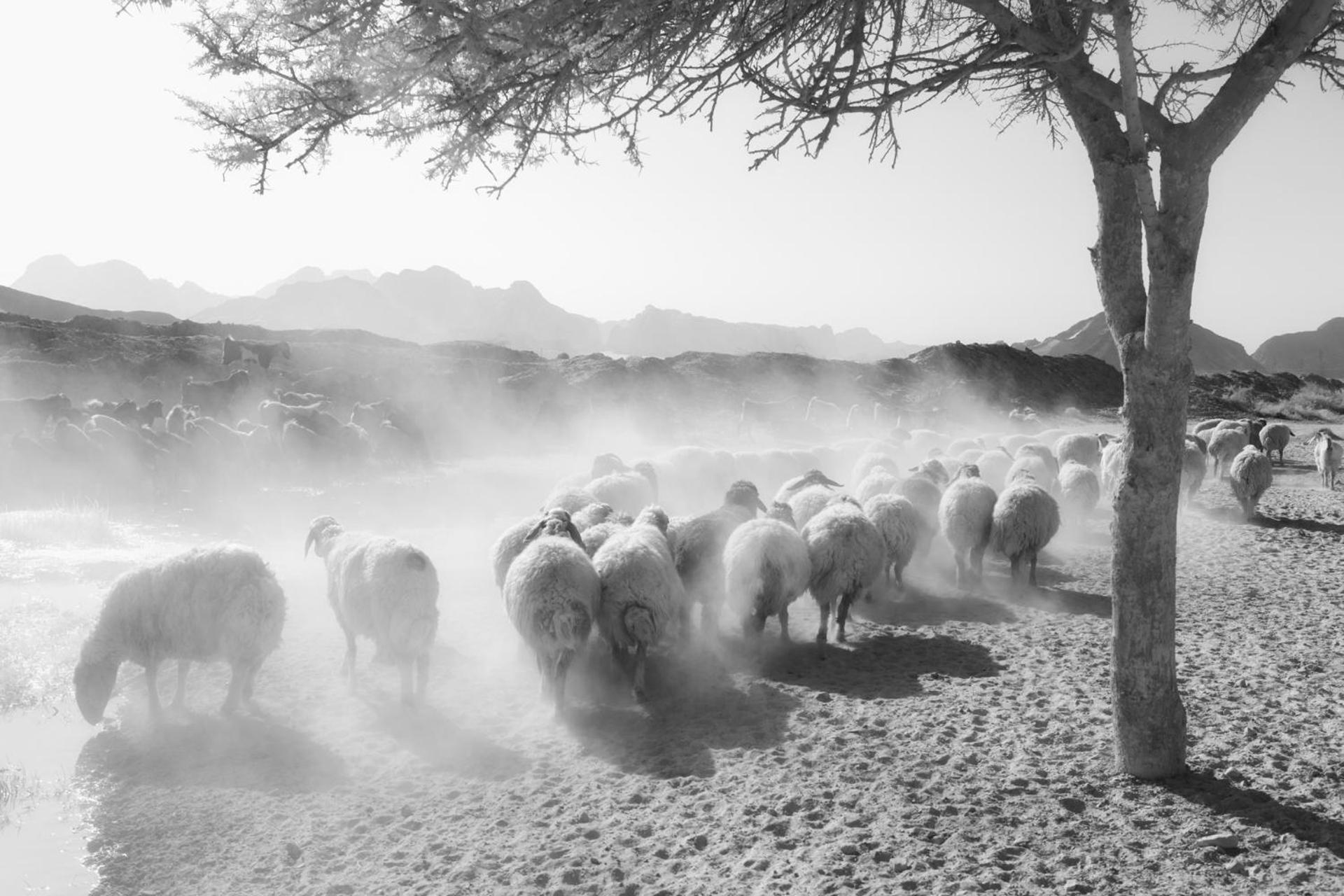 Wadi Rum Camp& Jeep Tour Esterno foto