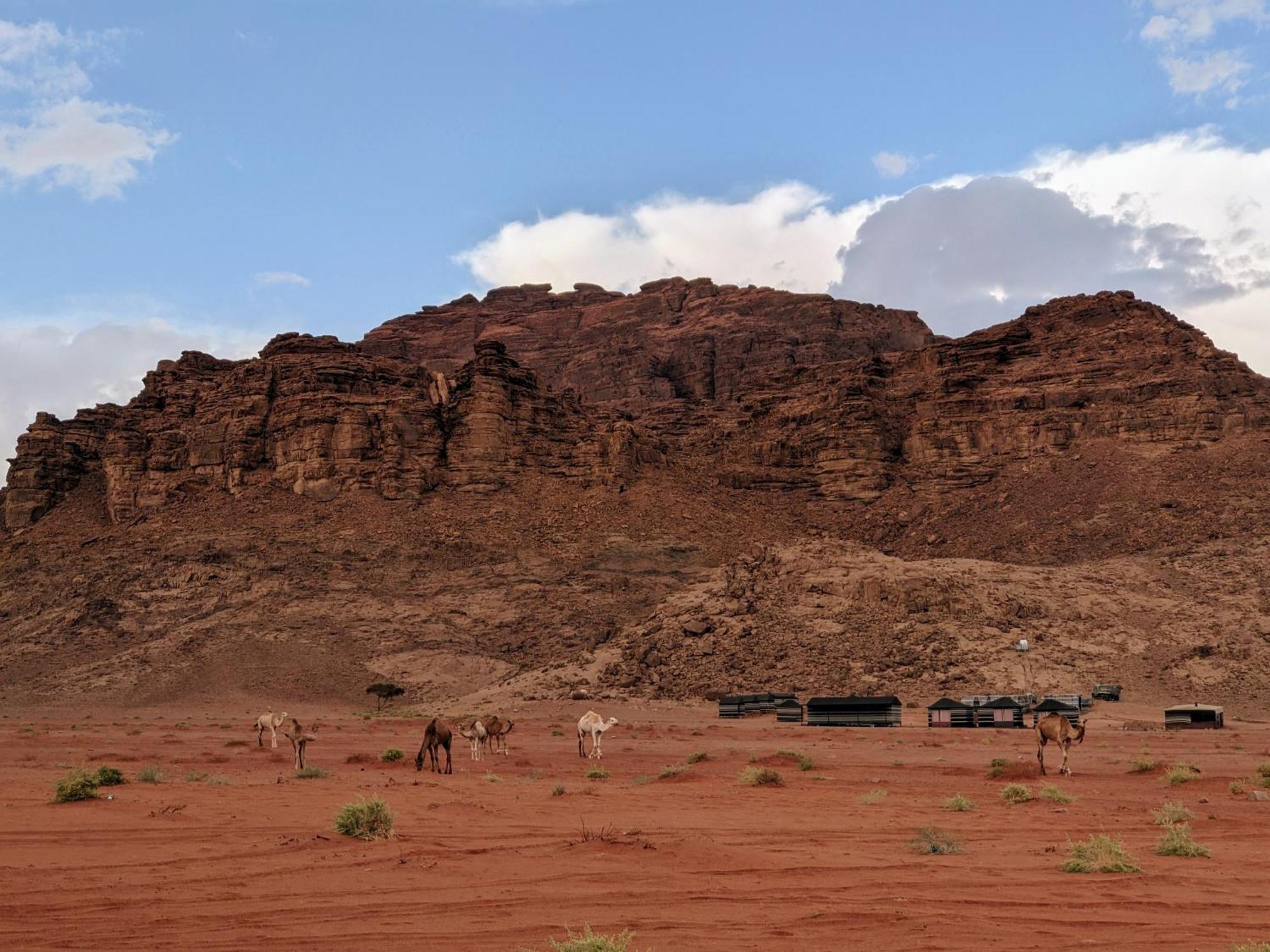 Wadi Rum Camp& Jeep Tour Esterno foto